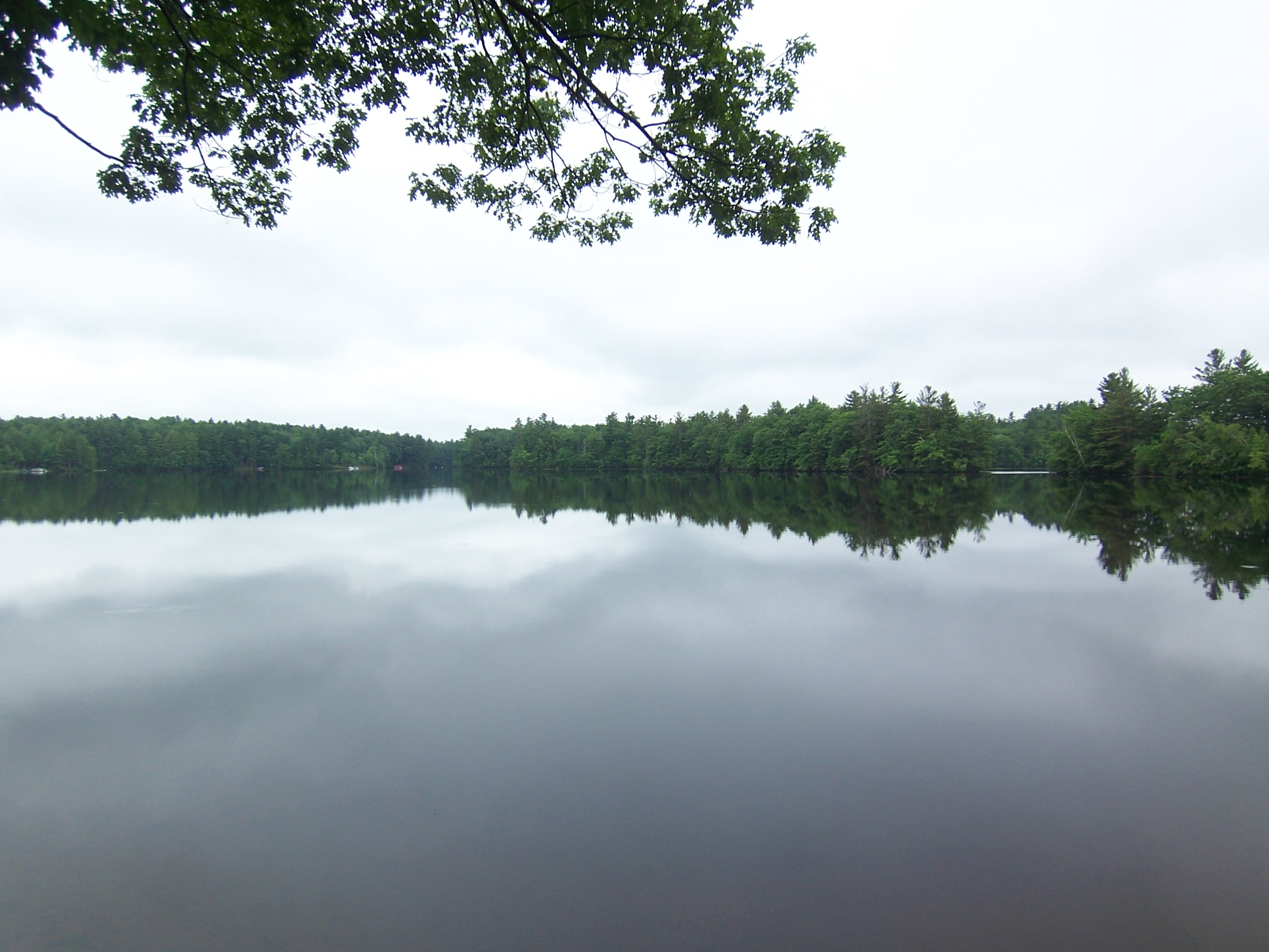 Maine Waterfront Real Estate Home